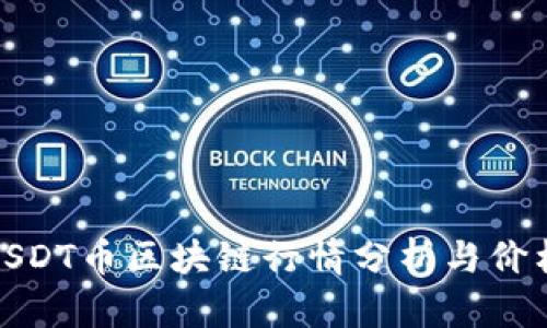 今日USDT币区块链行情分析与价格走势