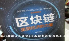 tpWallet在国内合法吗？全面解析数字钱包是否合法