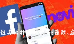 深入探索区块链与比特币的世界：原理、应用与