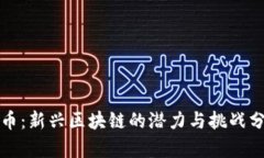 派币：新兴区块链的潜力与挑战分析