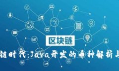 区块链时代：Java开发的币种解析与应用